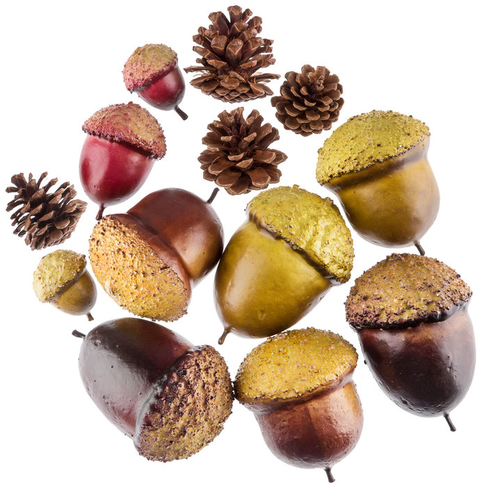 acorns